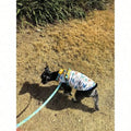 Dog Clothes Puppy Cute Dinosaur Pet Shirt Dog Vest Clothes Doggie Shirts Small Dogs Teacup Chihuahua Yorkie Dino Vest, Medium