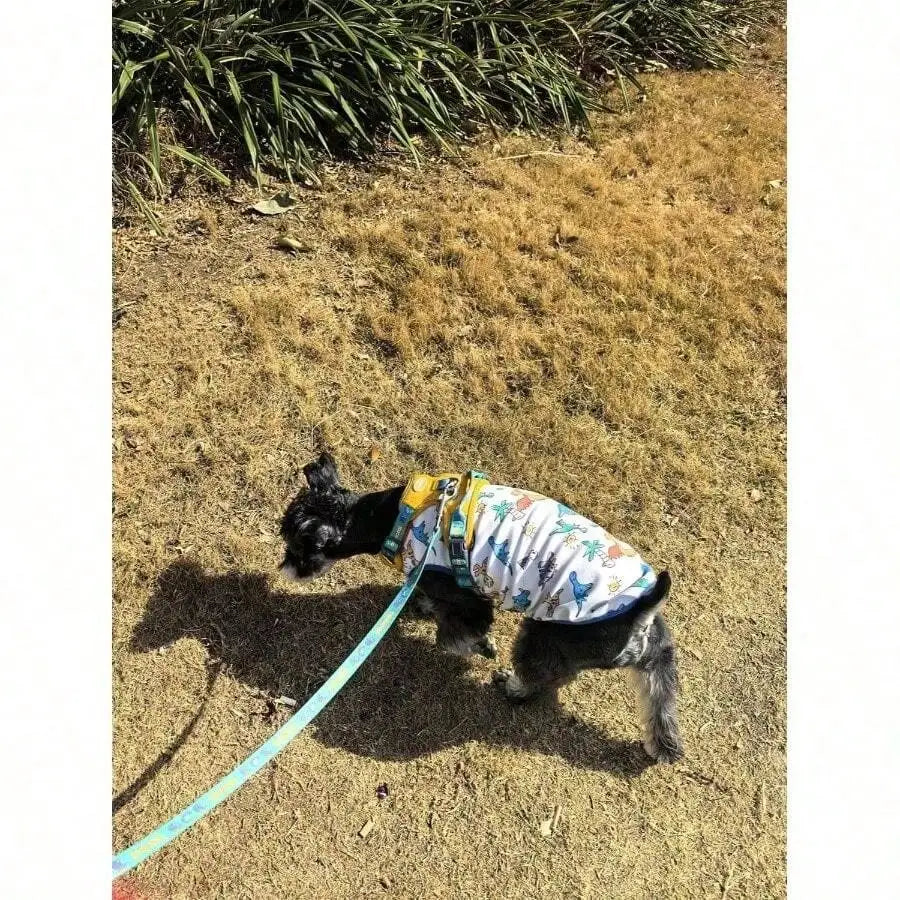 Dog Clothes Puppy Cute Dinosaur Pet Shirt Dog Vest Clothes Doggie Shirts Small Dogs Teacup Chihuahua Yorkie Dino Vest, Medium