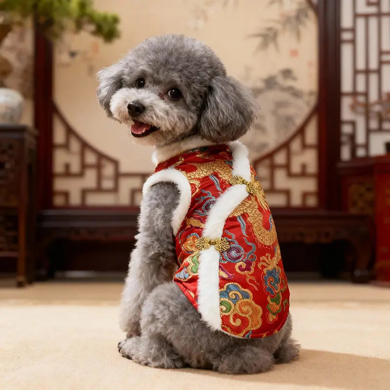 New New Year's Tang style Big Dog Clothes Autumn/Winter Clothes