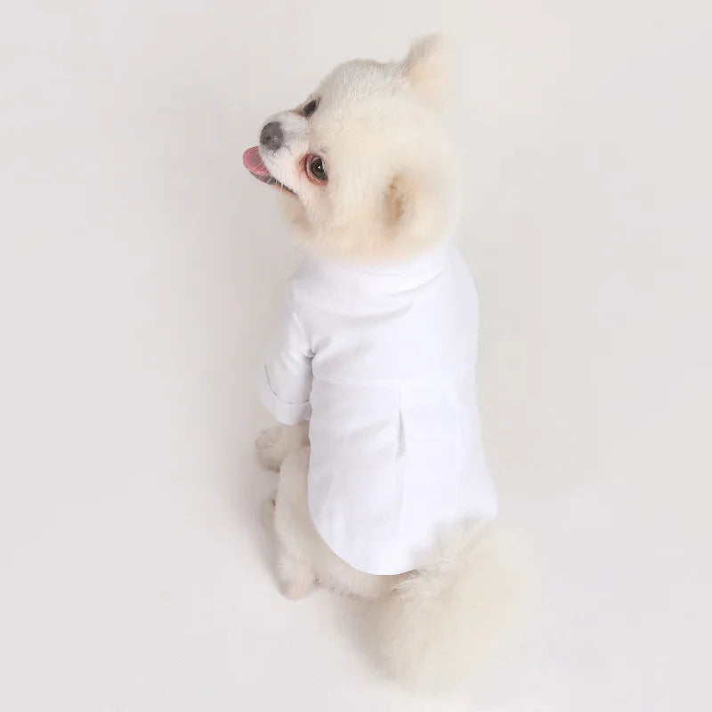 Spring and Autumn Pet Bottoming Shirts Versatile Slim Dog Clothes Boutique Pet Trendy Clothes