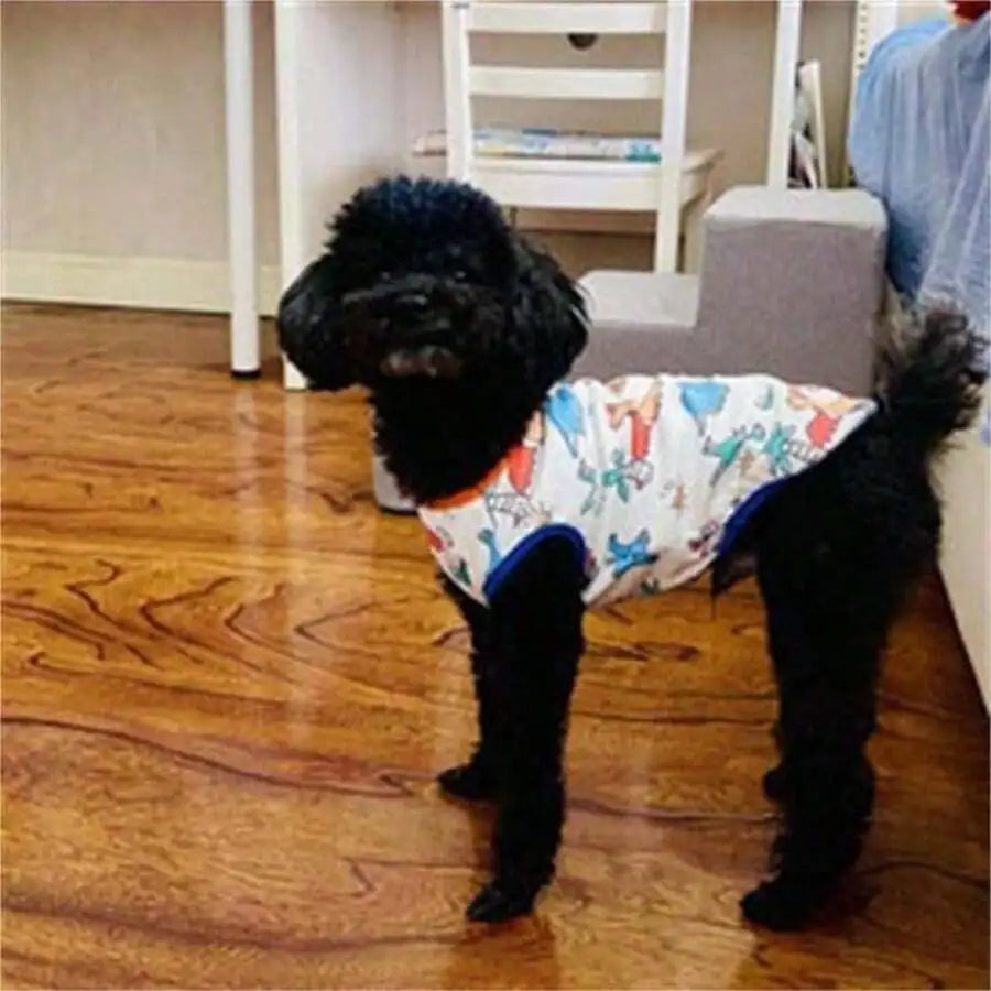 Dog Clothes Puppy Cute Dinosaur Pet Shirt Dog Vest Clothes Doggie Shirts Small Dogs Teacup Chihuahua Yorkie Dino Vest, Medium