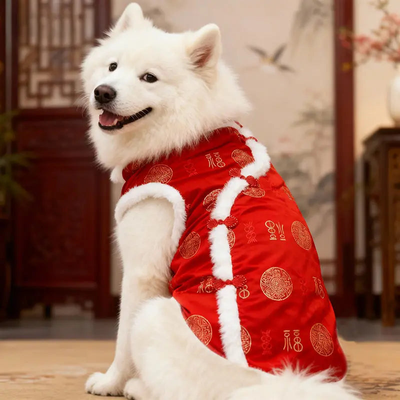 New New Year's Tang style Big Dog Clothes Autumn/Winter Clothes