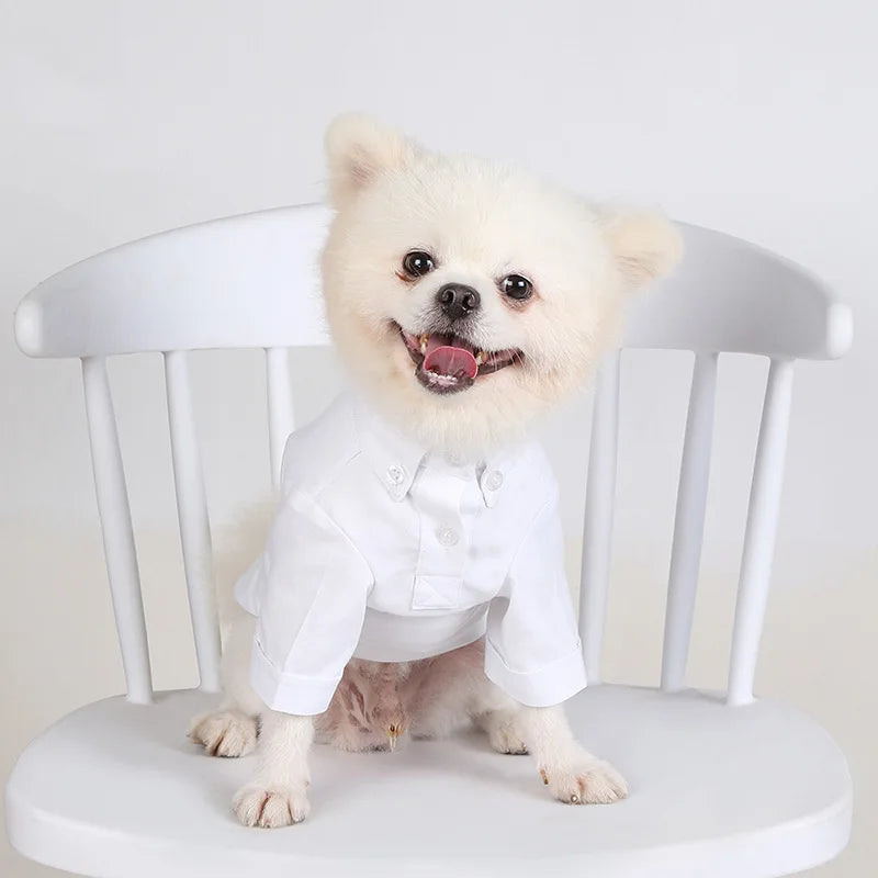 Spring and Autumn Pet Bottoming Shirts Versatile Slim Dog Clothes Boutique Pet Trendy Clothes