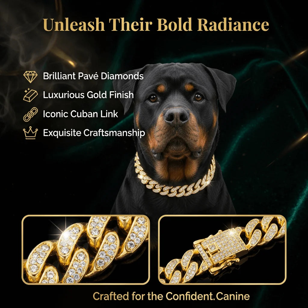 Luxury Hip Hop Dog Collar, Gold Tone Stainless Steel Cuban Chain, Durable Diamond Inlaid Pet Jewelry for Daily Walking