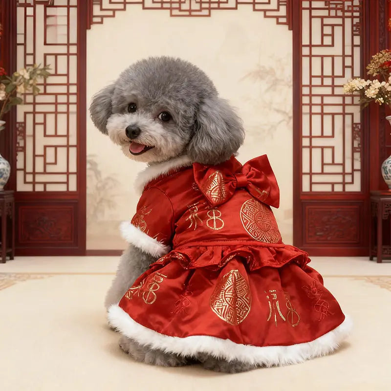 New New Year's Tang style Big Dog Clothes Autumn/Winter Clothes